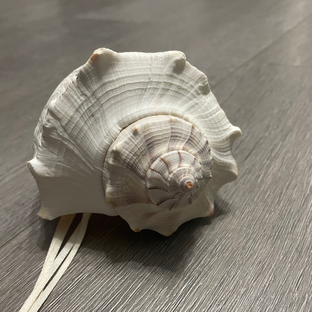 Wedding Ring Holder - Conch Seashell